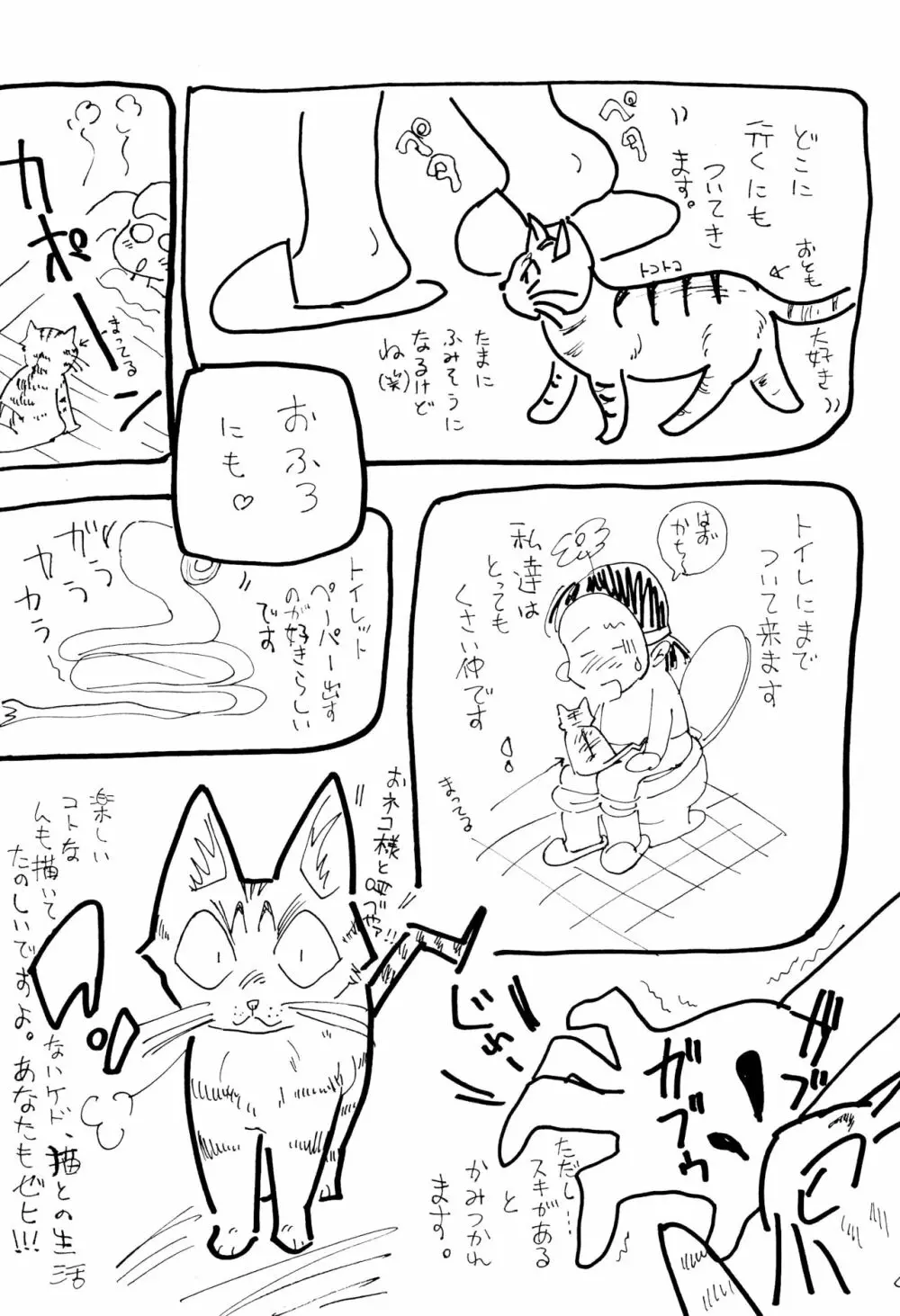 拉致 Page.48