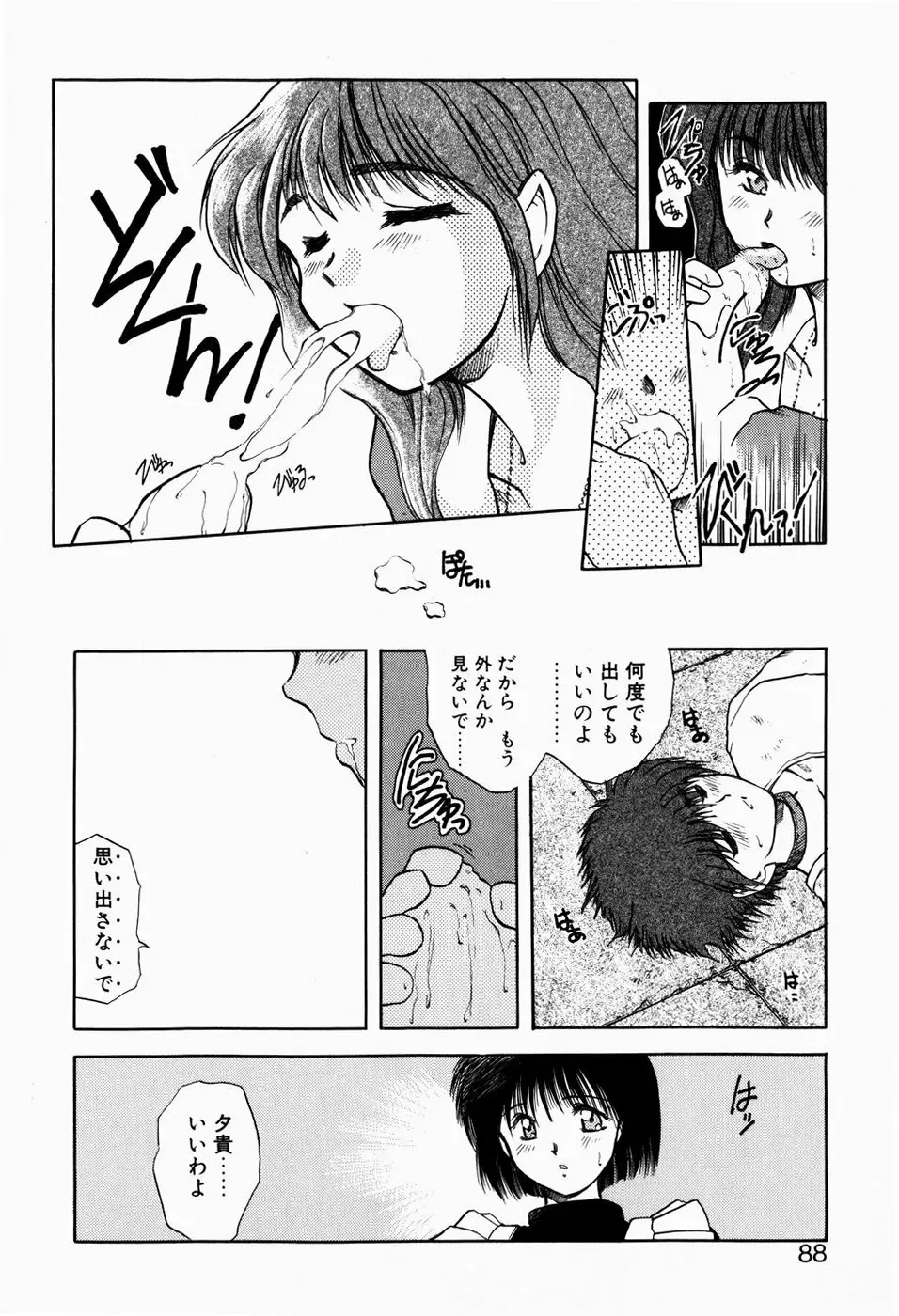 檻の中から Page.86