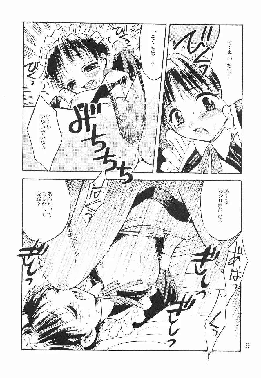 シンジマニアツウシン Page.29