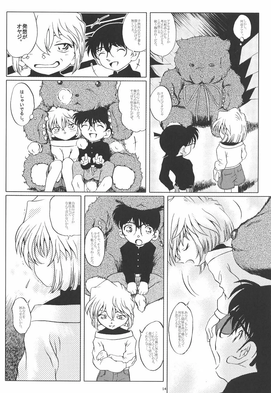 哀の嵐 Page.13