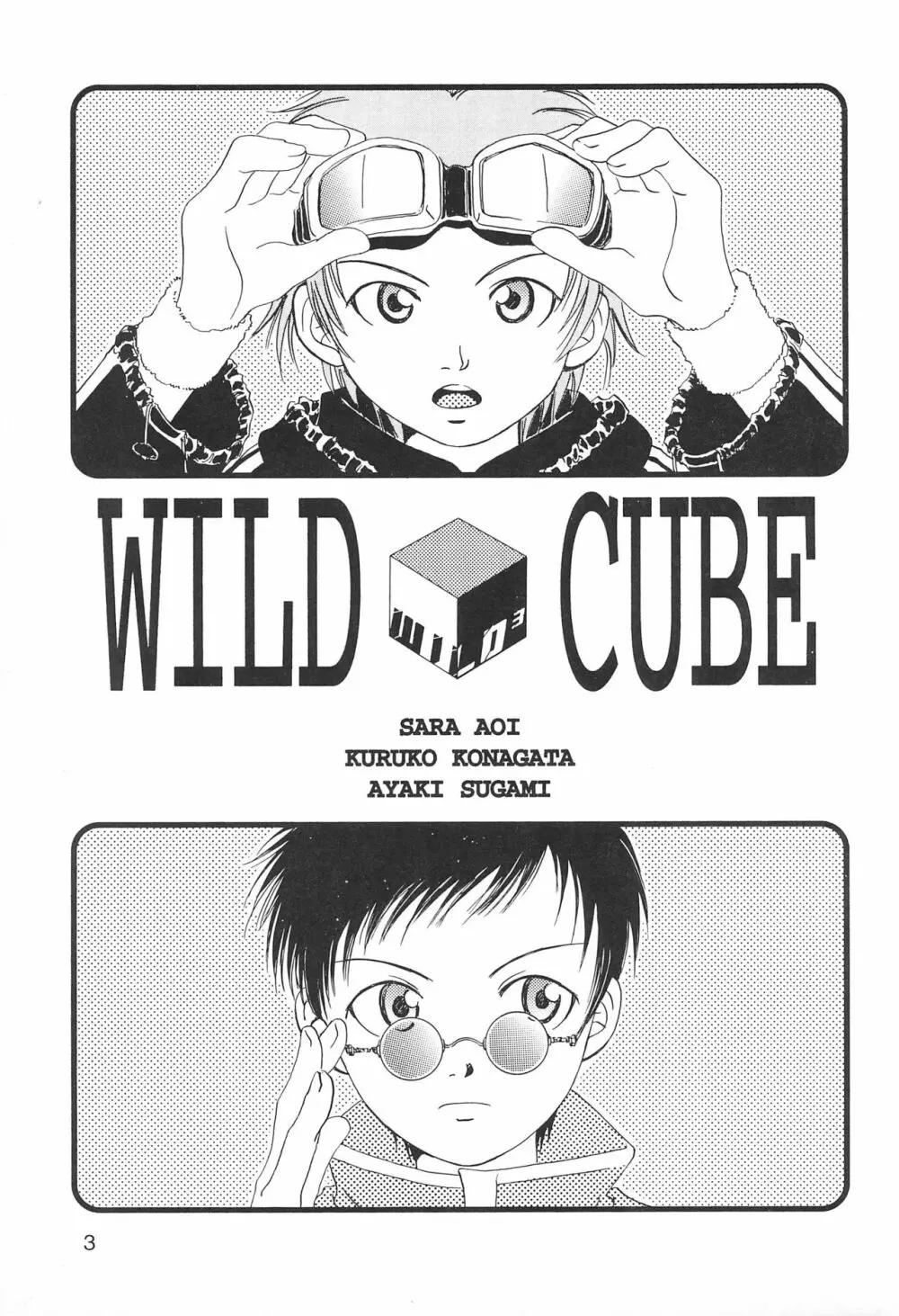 WILD CUBE Page.3