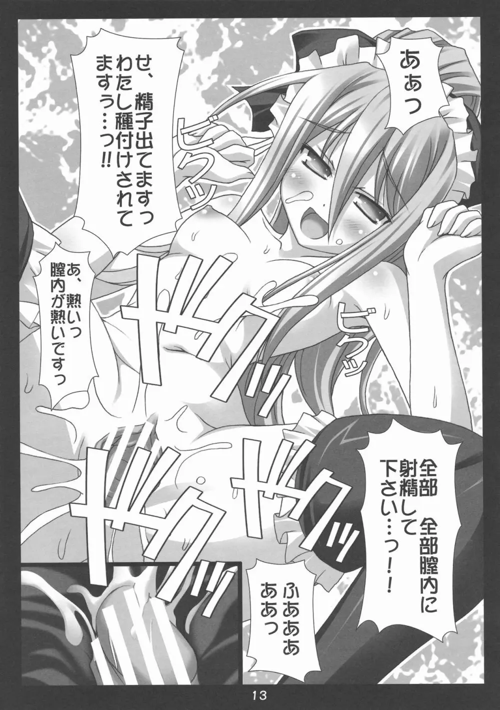 フェリの秘•密の特訓 Page.13