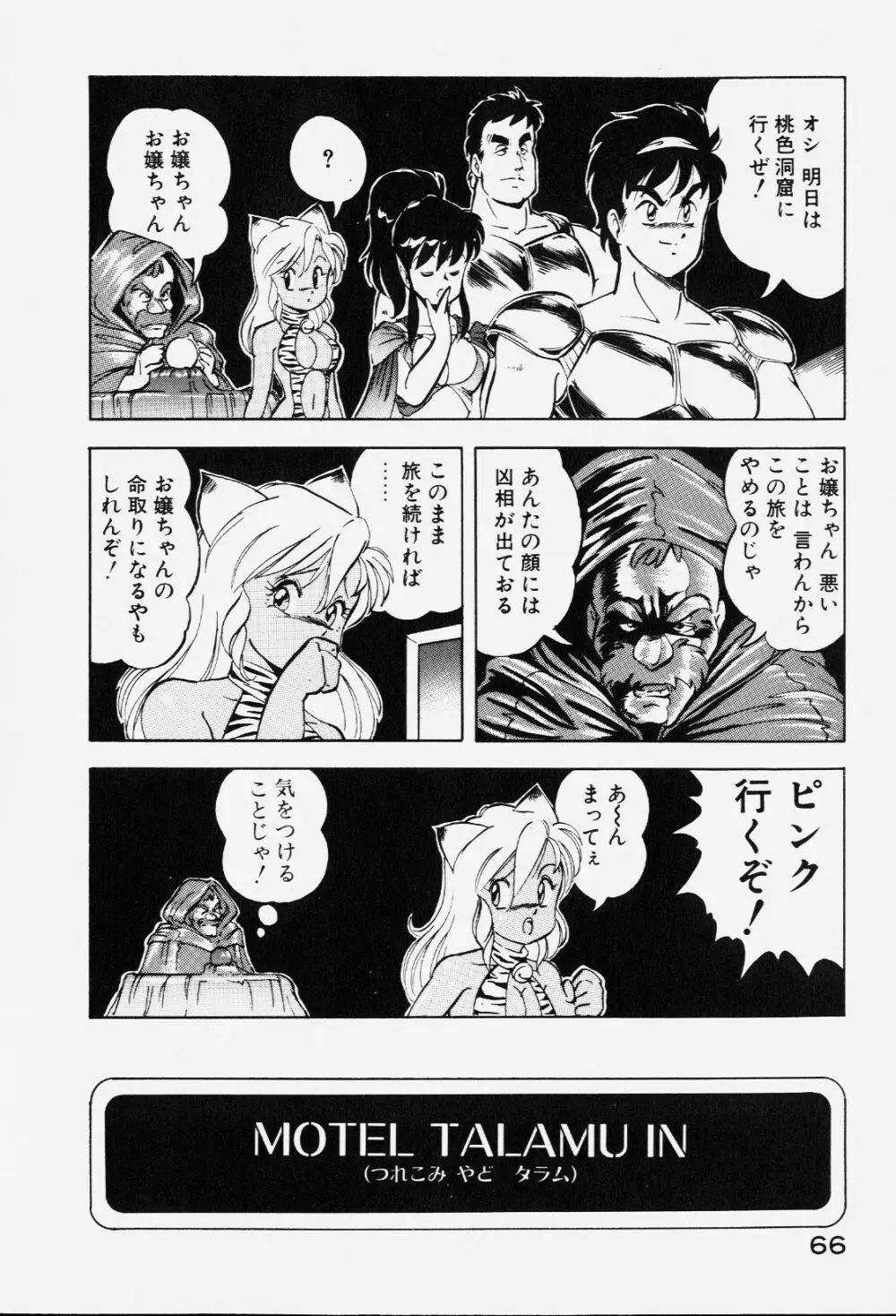 ドラゴンピンク Page.65