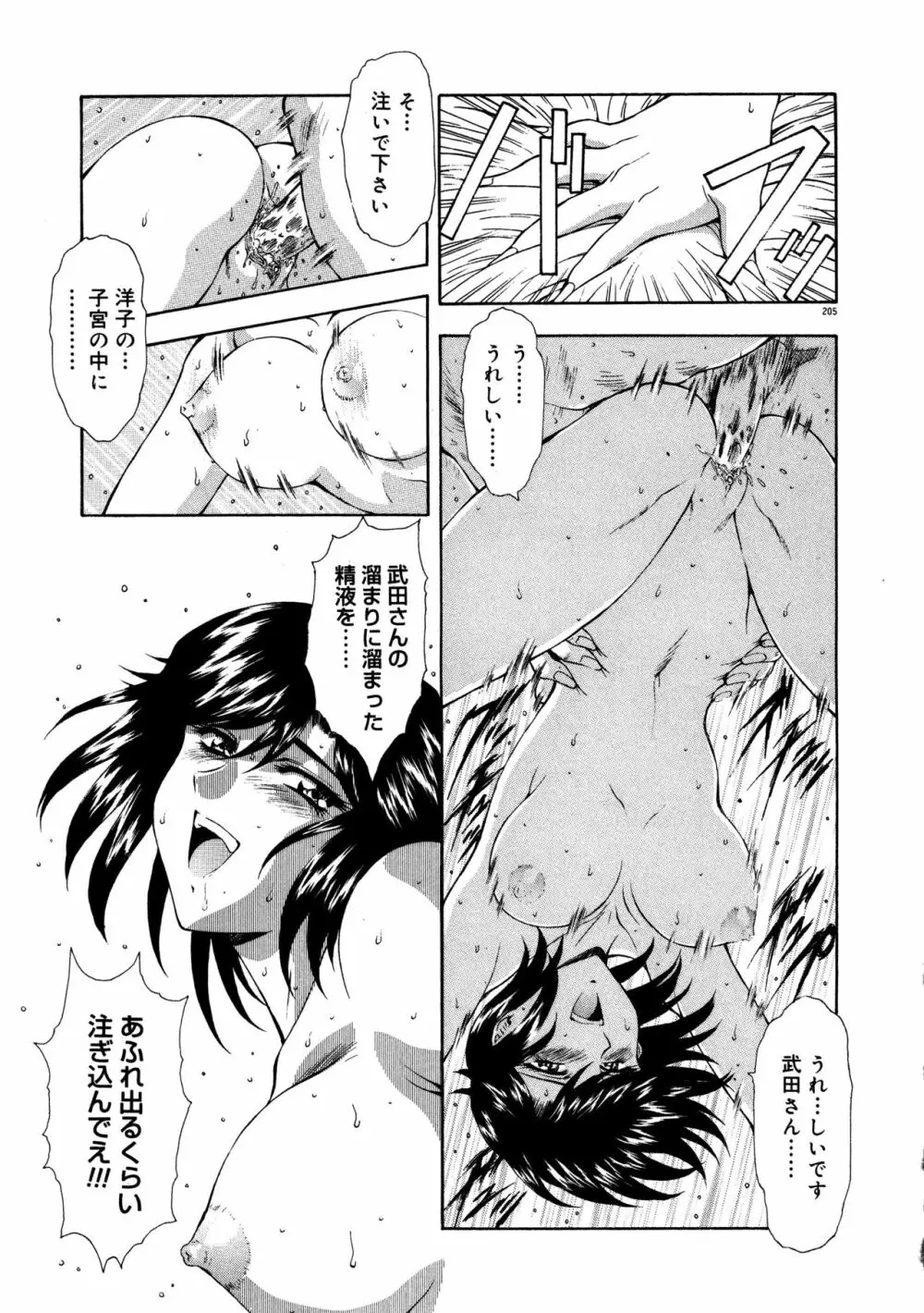 真実の補完 Page.209