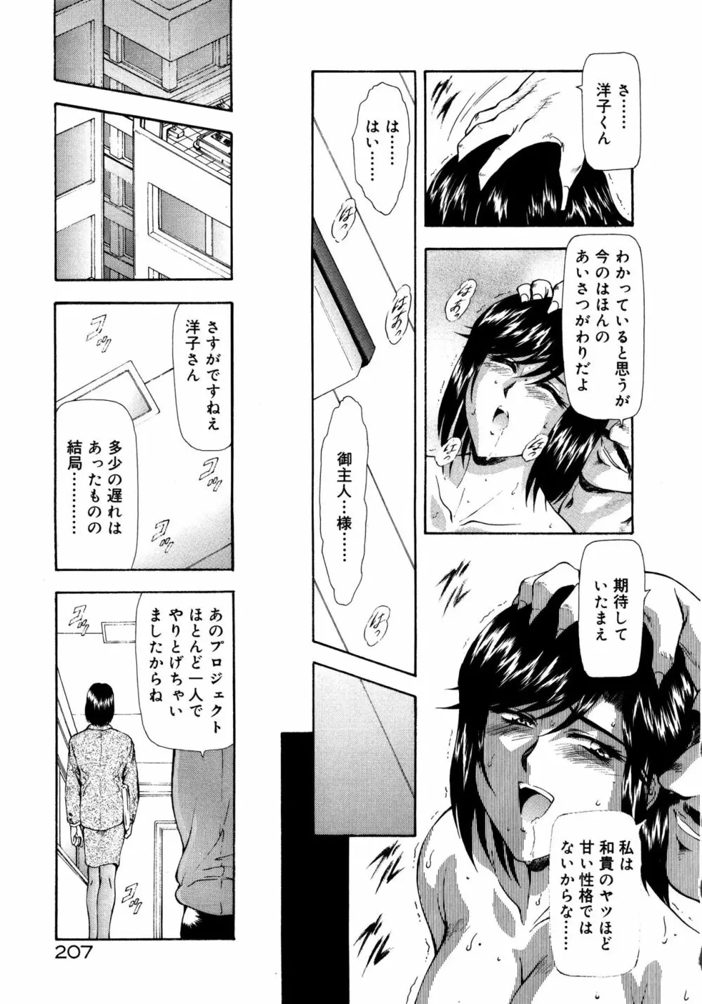 真実の補完 Page.211