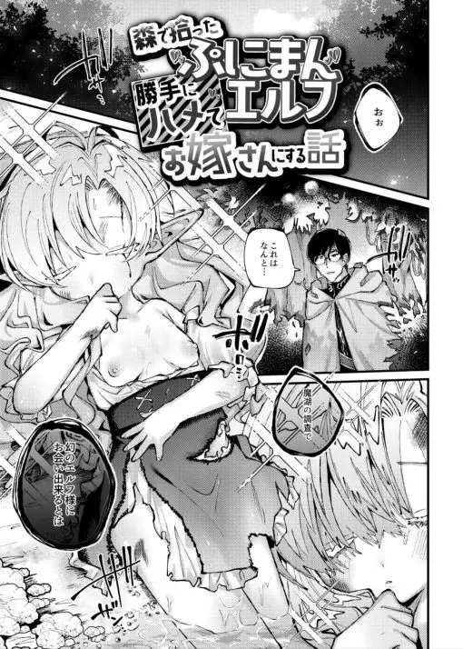 森で拾ったぷにまんエルフ勝手にハメてお嫁さんにする話 Page.3