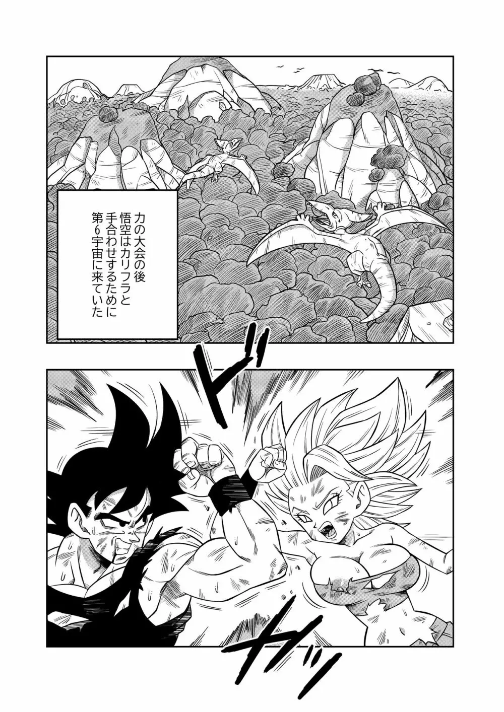 Fight in the 6th Universe!!! Page.3