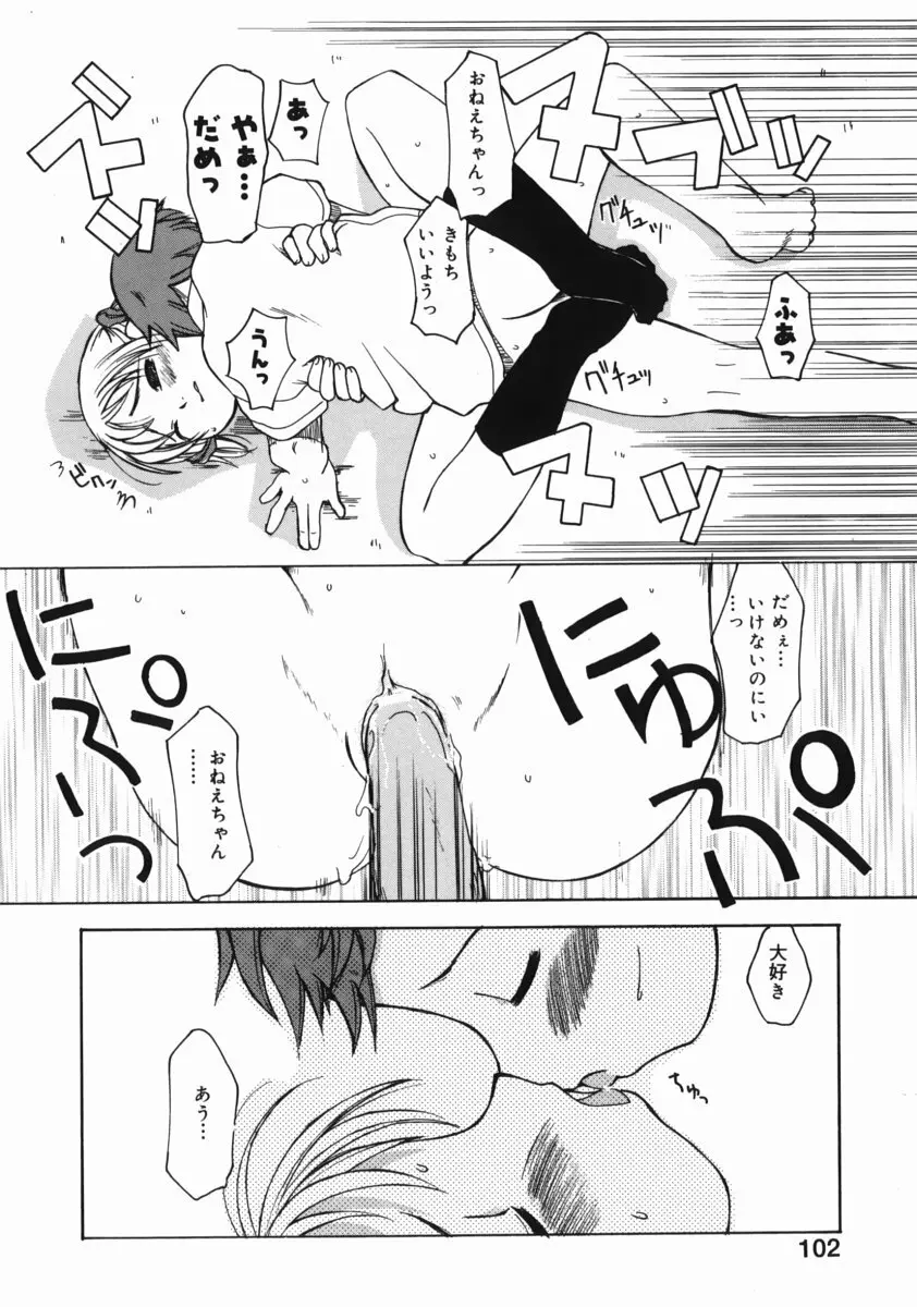 お姉ちゃんがいっしょ Page.102