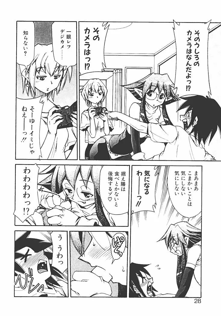 アキハバラへようこそ! Page.32