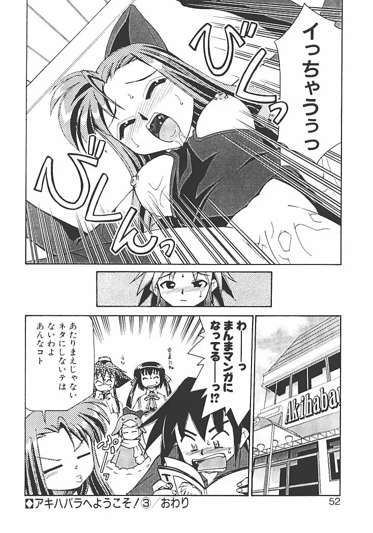 アキハバラへようこそ! Page.56