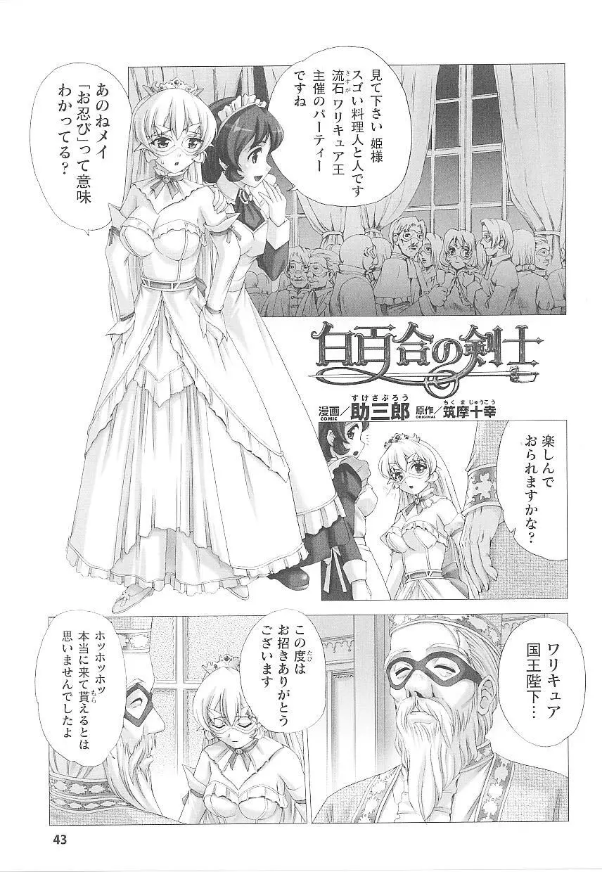 闘うヒロイン陵辱アンソロジー 闘姫陵辱20 Page.43