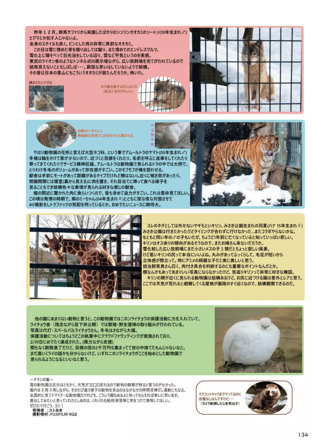 mayけものフレンズスレ合同誌 Page.136