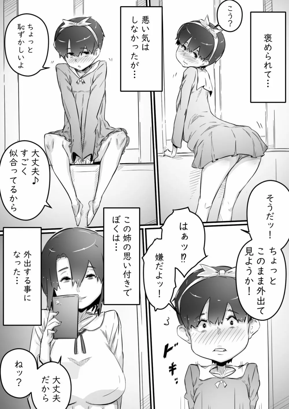 [ヒレカツ] 姉との日々 part-II -発芽の季節編- Page.3