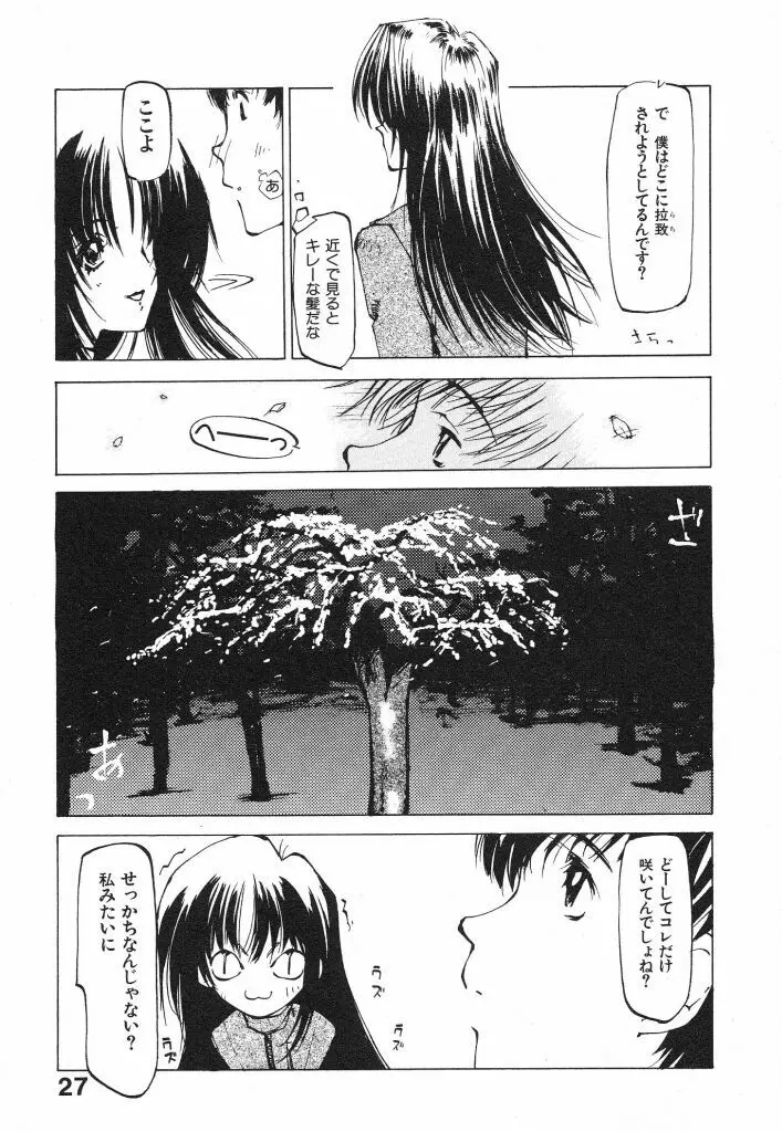 テクノエキス Page.29