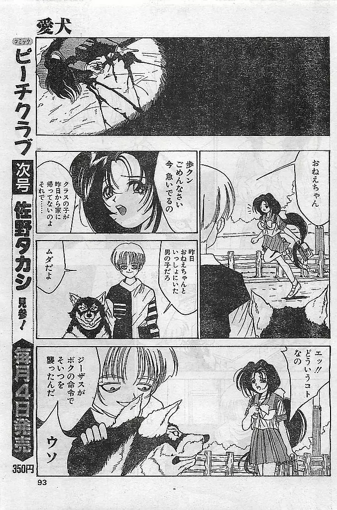 COMIC ピーチクラブ Vol.4 1996年01月号 Page.93