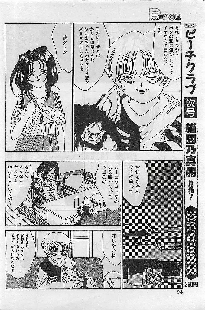 COMIC ピーチクラブ Vol.4 1996年01月号 Page.94