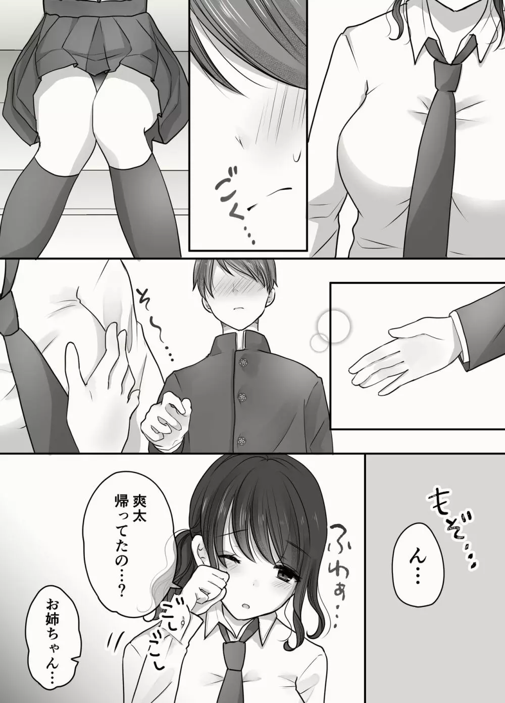 姉と弟のえっちなルーティーン Page.12