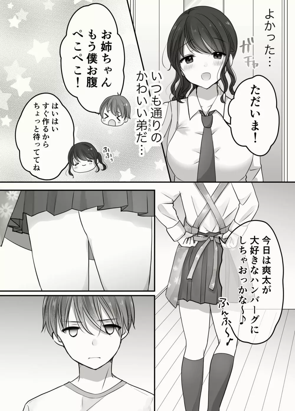 姉と弟のえっちなルーティーン Page.24