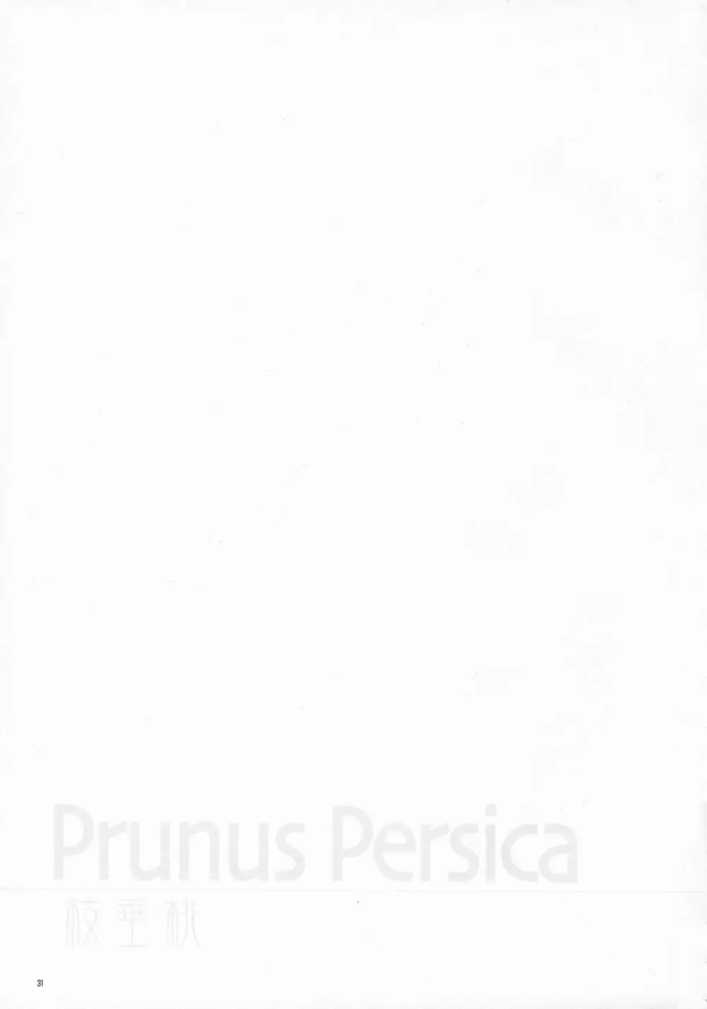 Prunus Persica Page.30