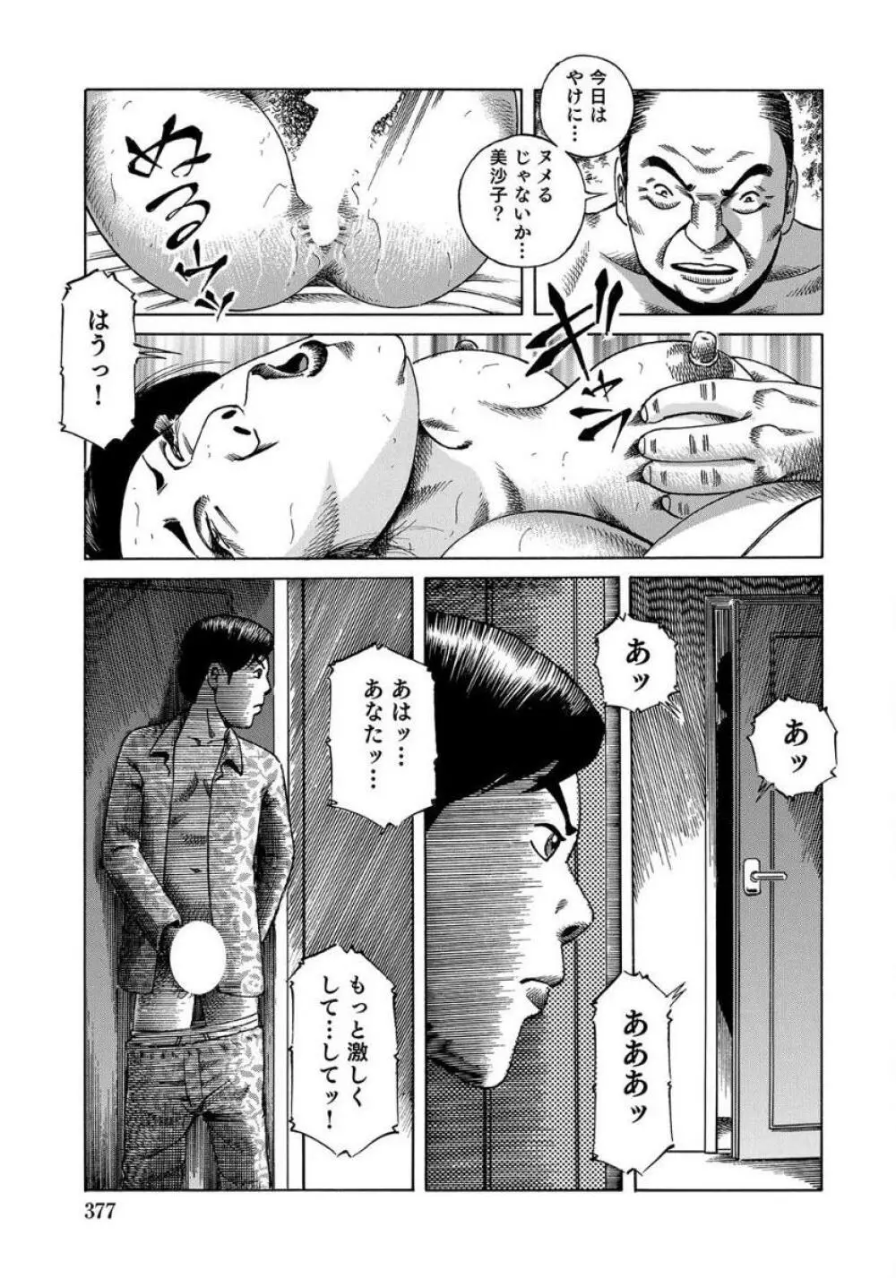 セックスが生きがいの人妻たちの生態 Page.377