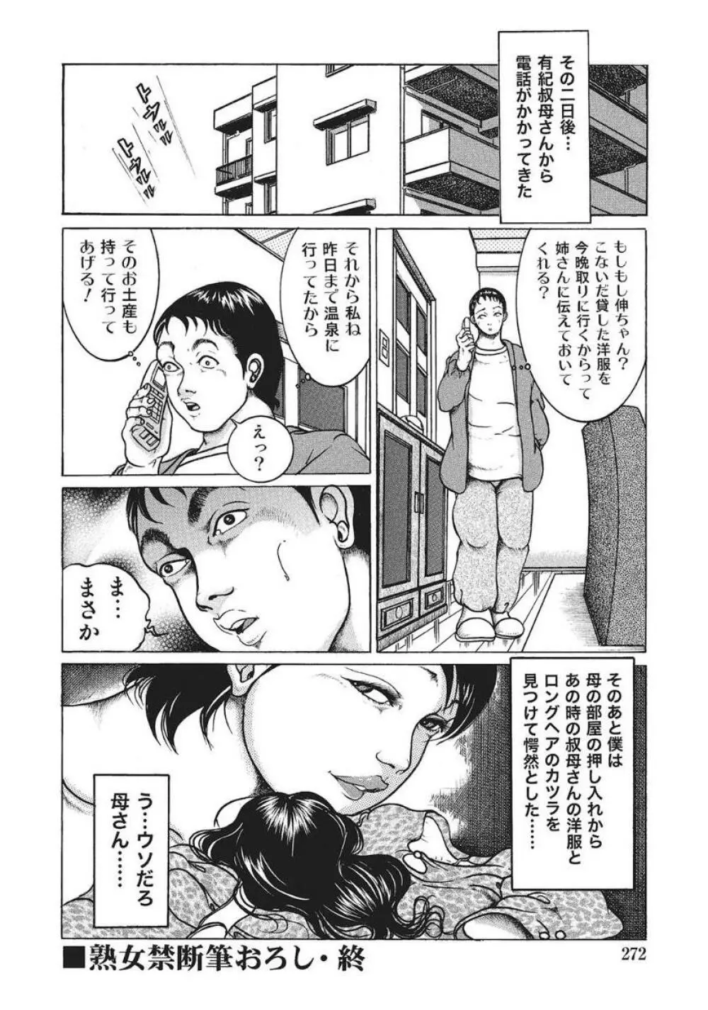 人妻艶熟ものがたり Page.252