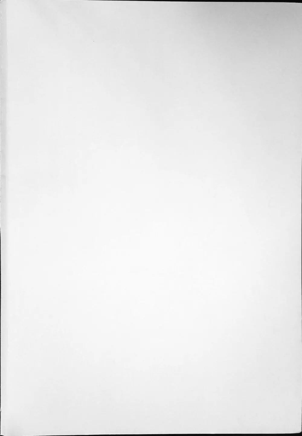 K-1 GRANDPRIX Page.2