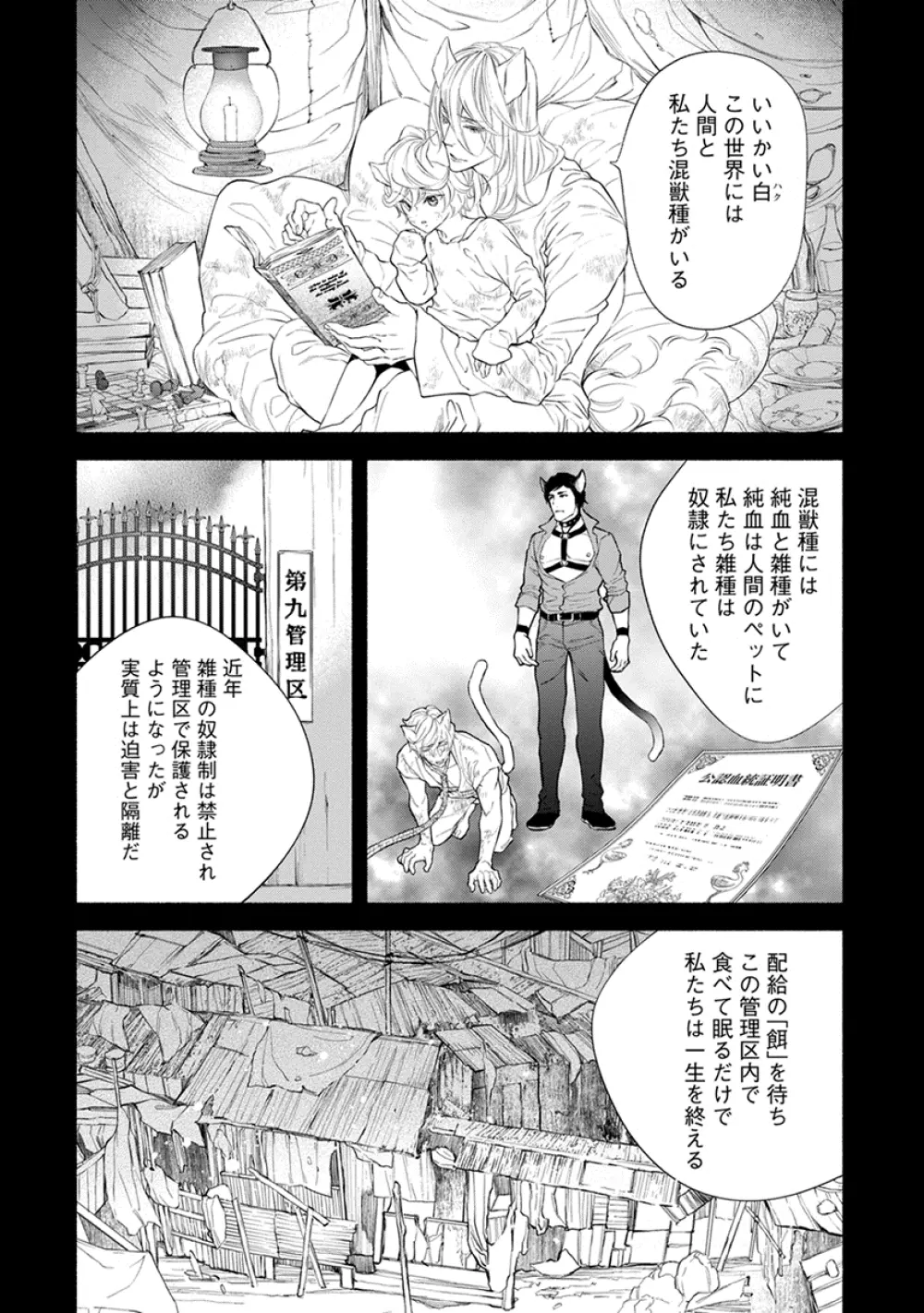 けものは奥まで愛されたい Page.11