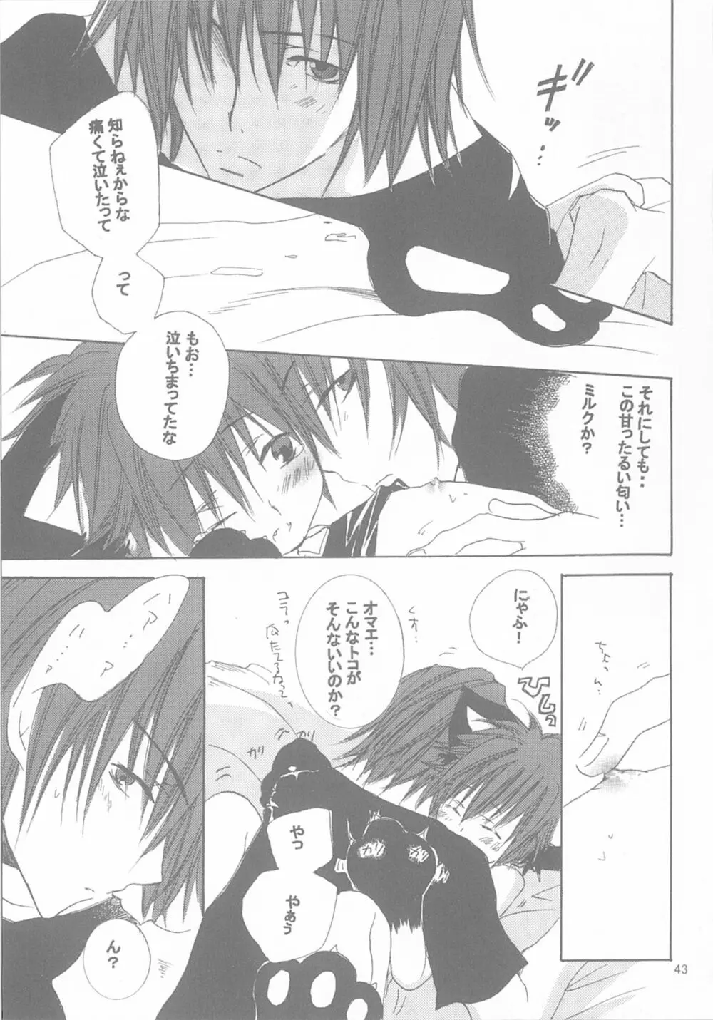 今宵の宴は夜明けまで ~招待状はこちら~ Page.43
