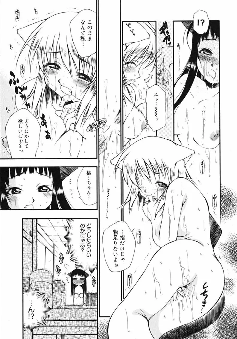 ハッピー☆トラップ Page.227