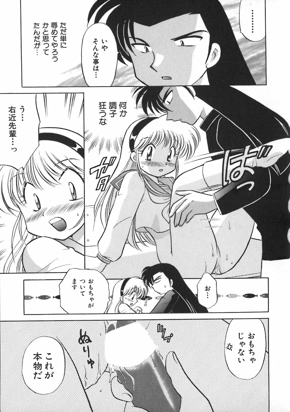 秘密のお花園 Page.95