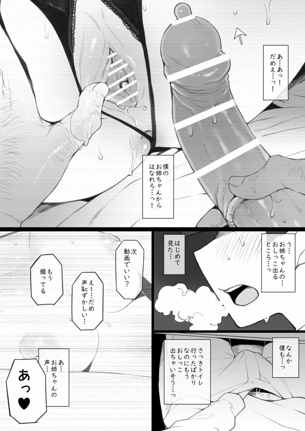 大好きなお姉ちゃんに借りたパソコンの中に… Page.11