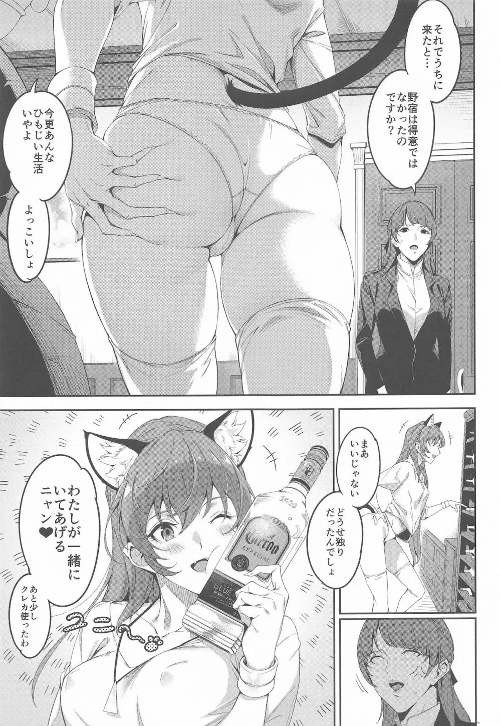 トゥインクルイマジネーションなんてなかった 15 years later vol.2 Page.12