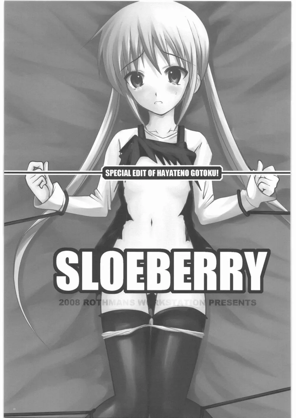 SLOEBERRY Page.2