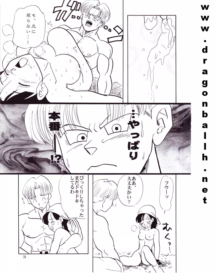 ZZ Page.31