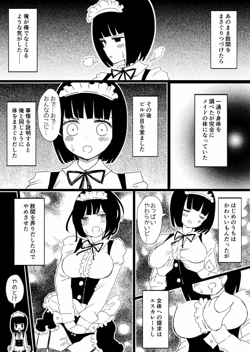 メイドの皮プロトタイプ Page.5