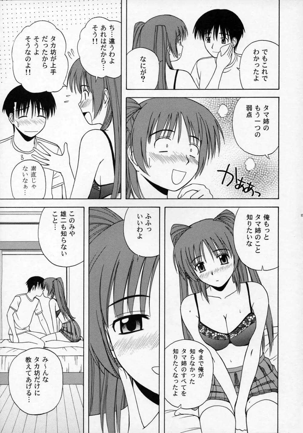 タマ姉といっしょ Page.14