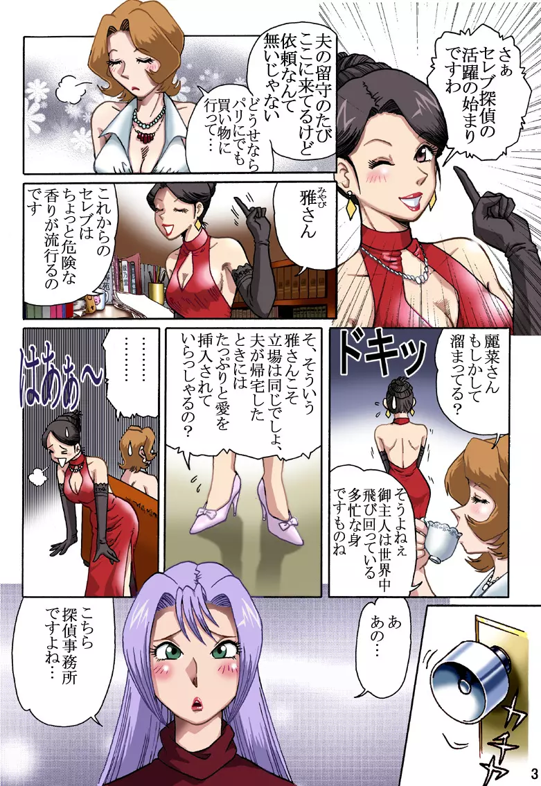 セレブ探偵・危険な依頼 Page.2