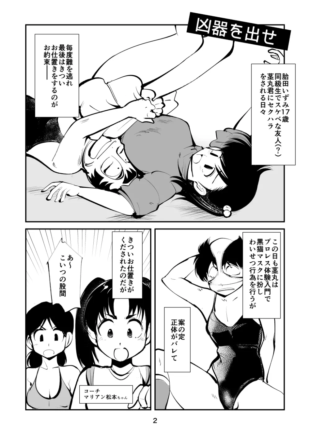 ハードリンチいずみちゃん Page.2