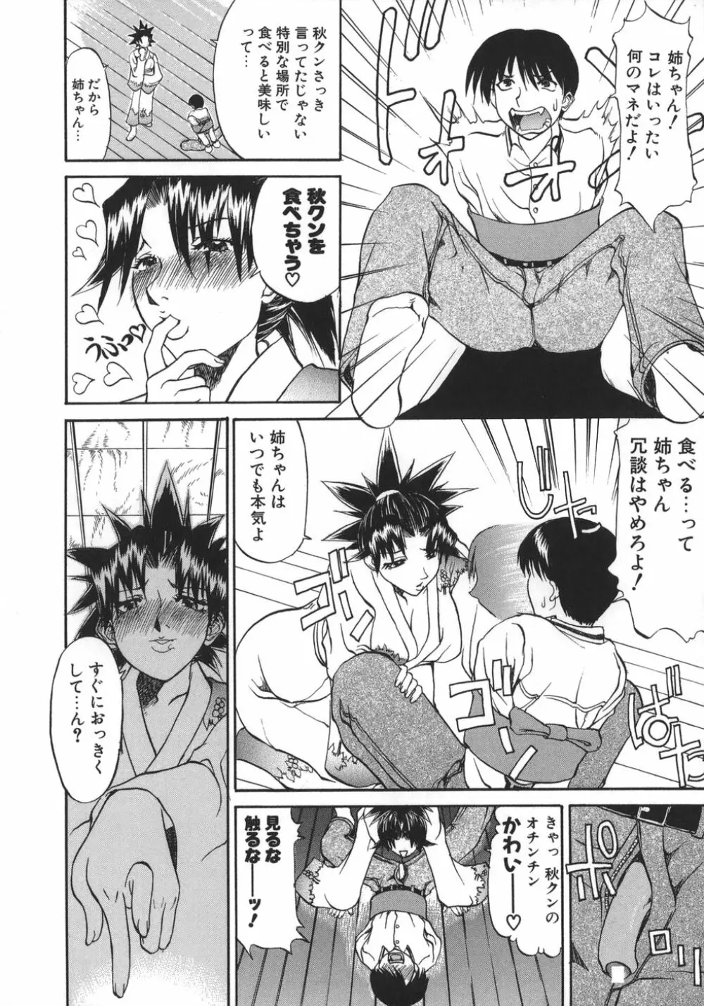 姉ちゃんより愛を込めて To Heart Page.14