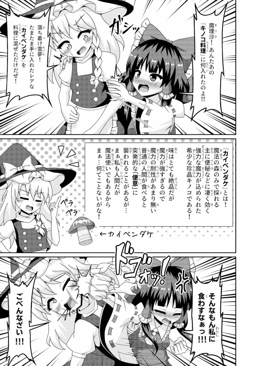 霊夢の不運な大異変 Page.14