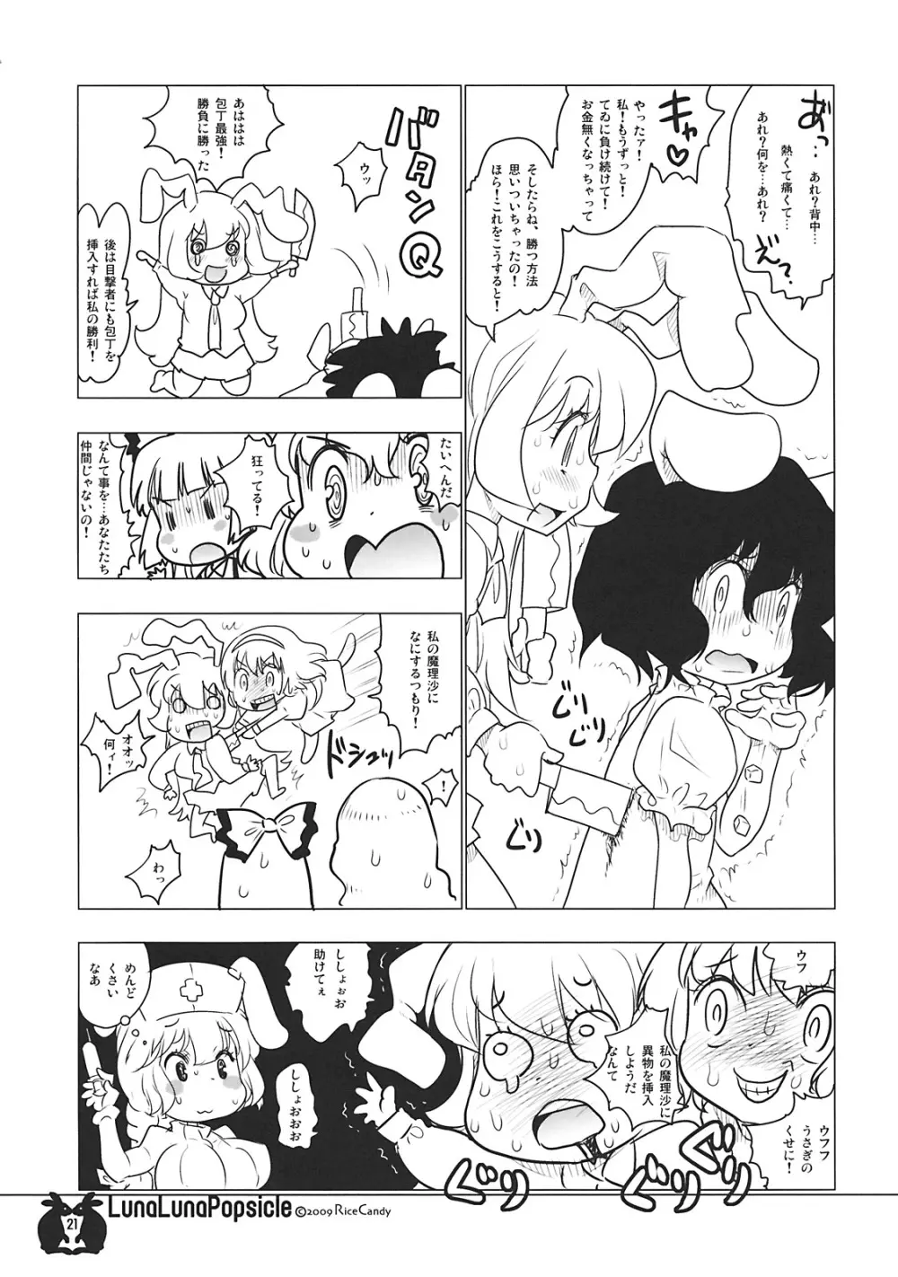 ルナルナポプシクル Page.21