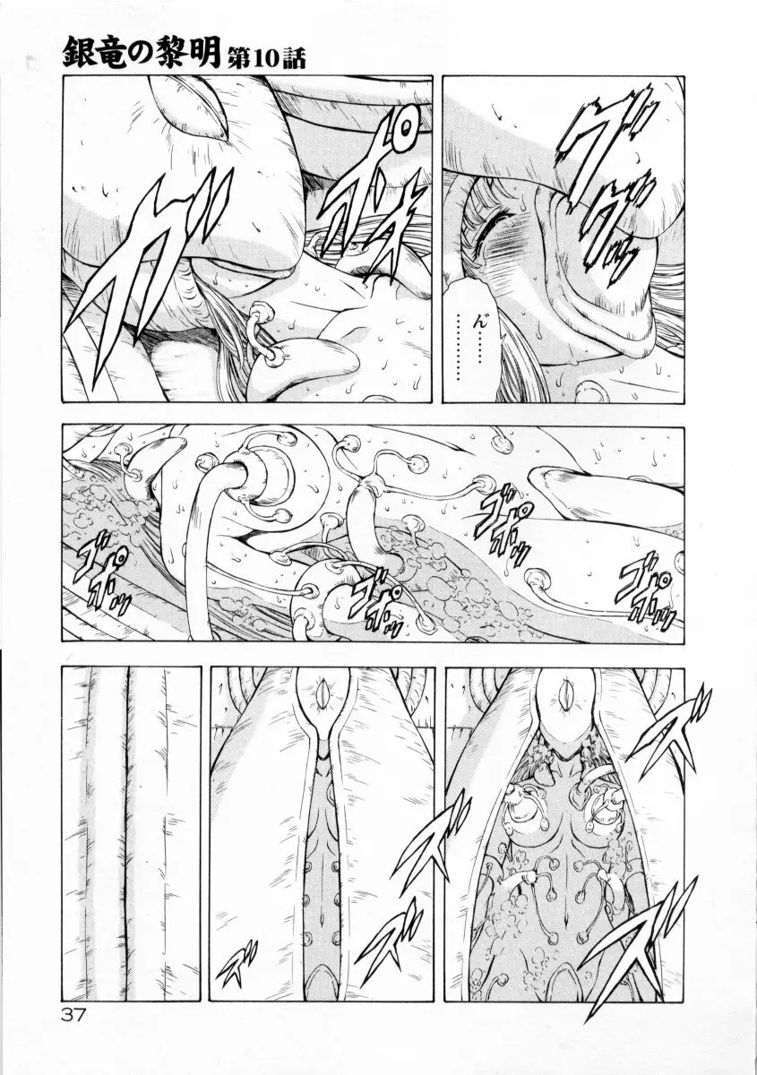 銀竜の黎明 VOL.2 Page.41