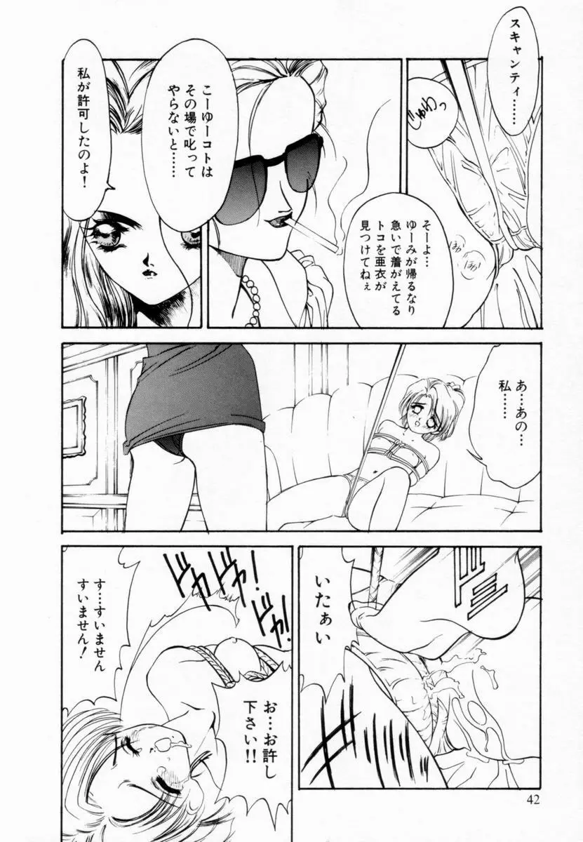 少女隷辱 Page.45