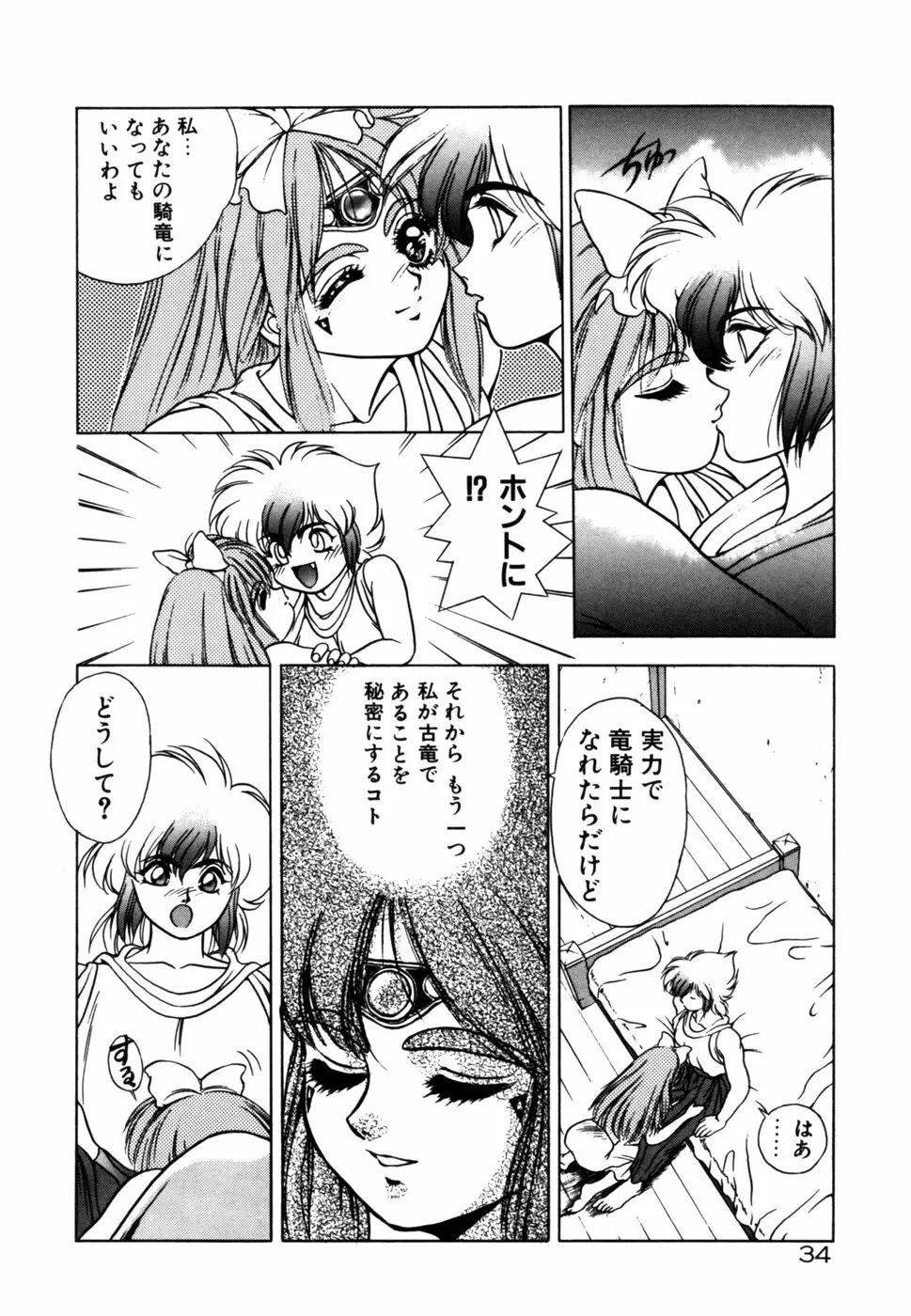 ドラゴン・ライダー Page.33