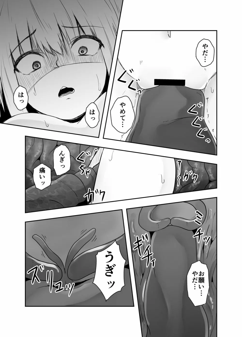 苗床 Page.24