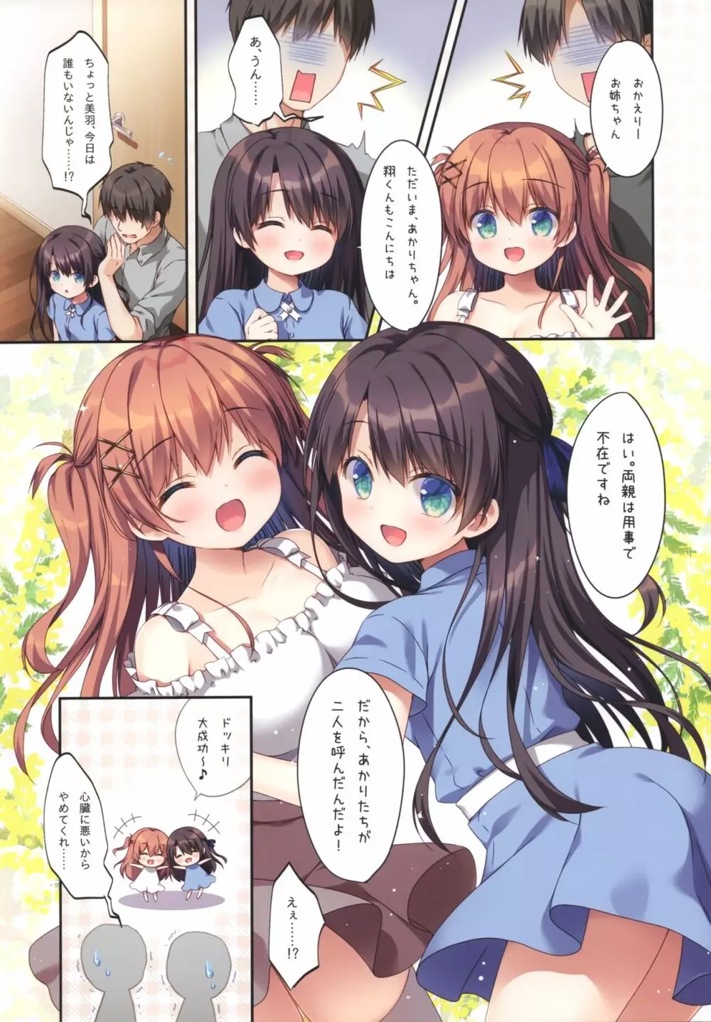 双子姉妹の満たし方1～もしもしえっち編～ Page.4