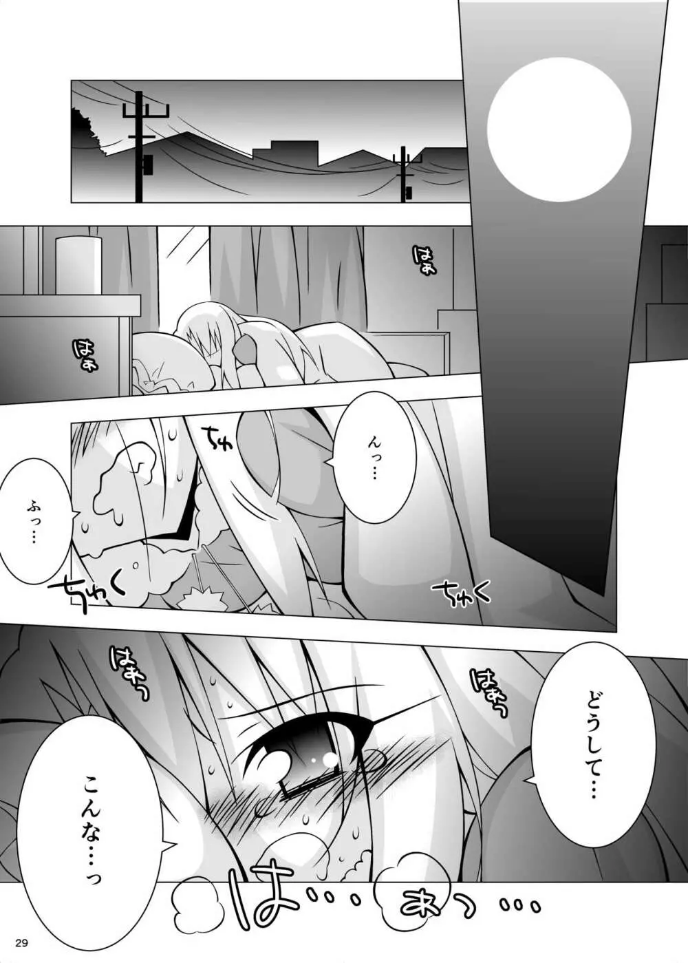 堕チル魔法少女 -総集編1- Page.28