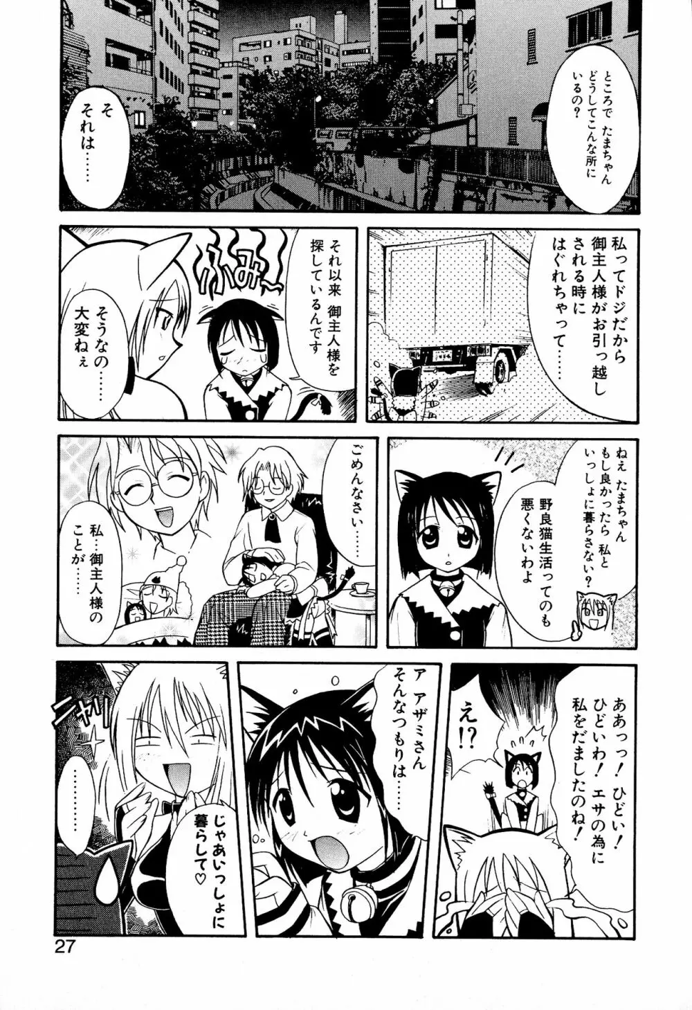 どきどき★しすたーず Page.29