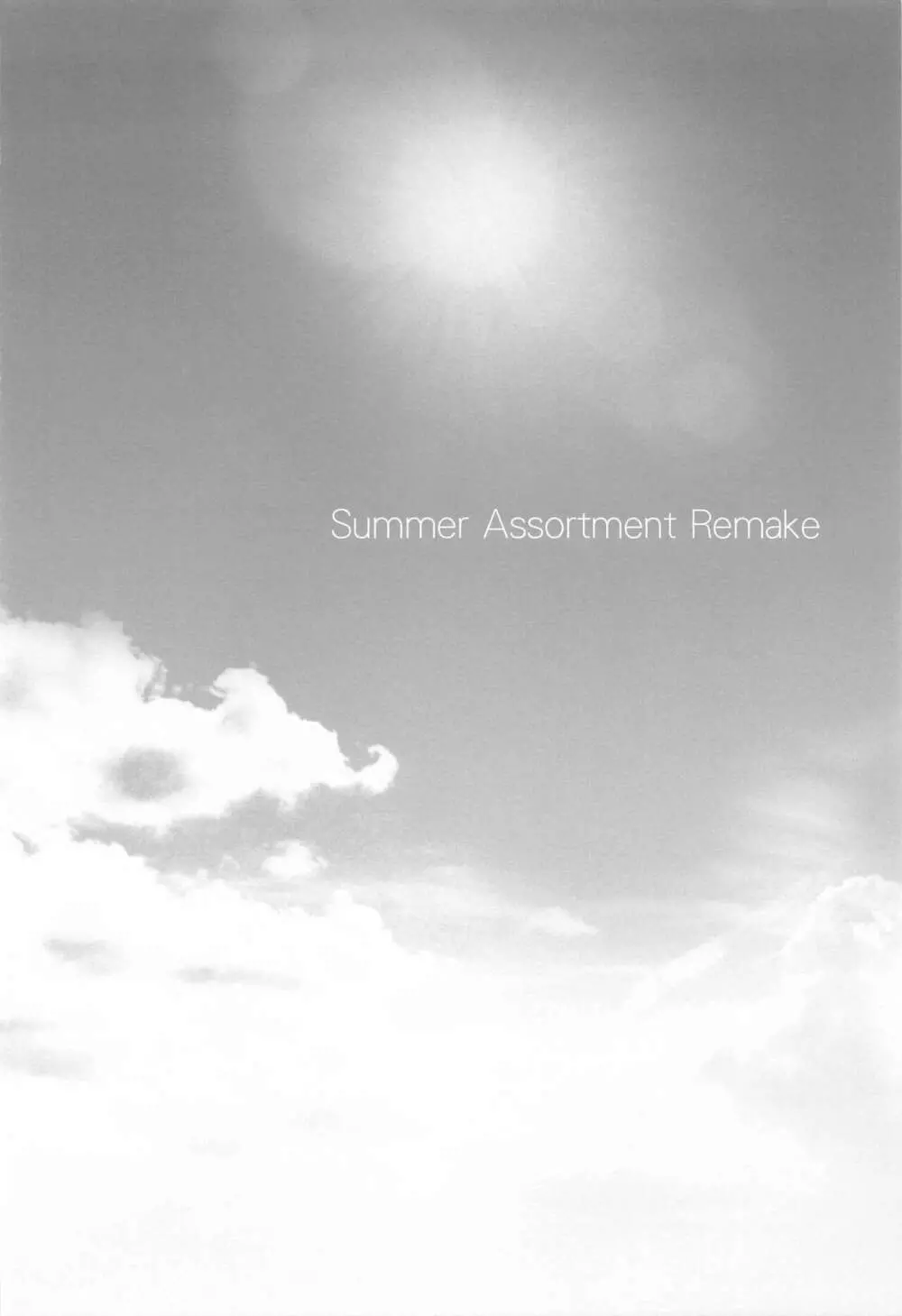 Summer Assortment Remake Page.25