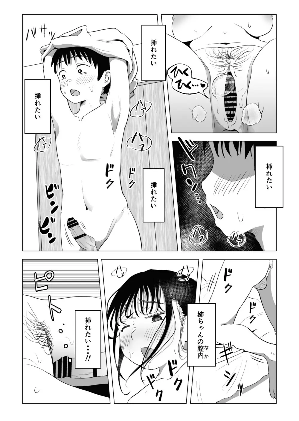 あたりまえせっくす ~姉と弟の日常~ Page.67